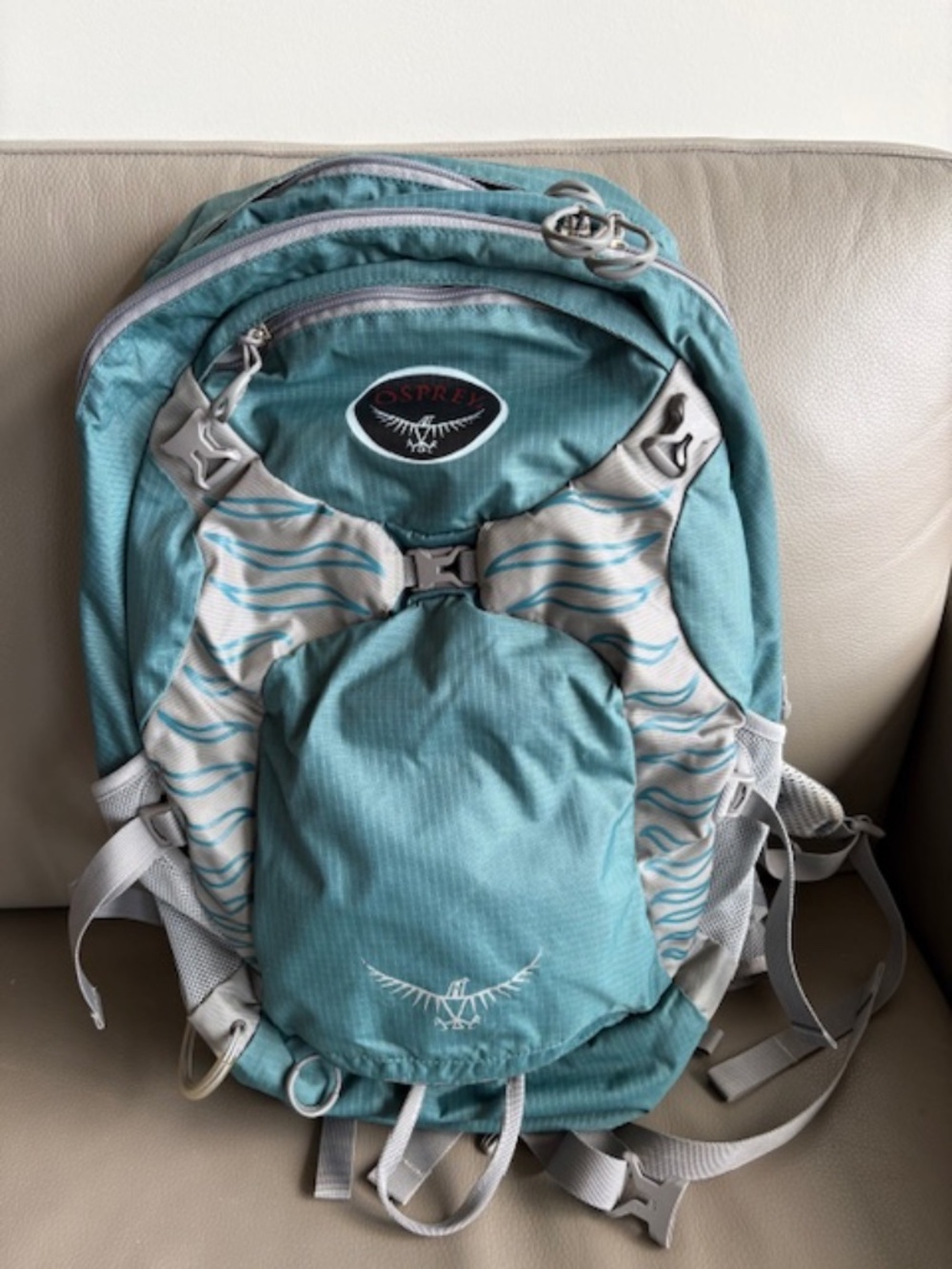 OSPREY Sirrus 24 L Women's backpack teal green with metal frame and rain cover
